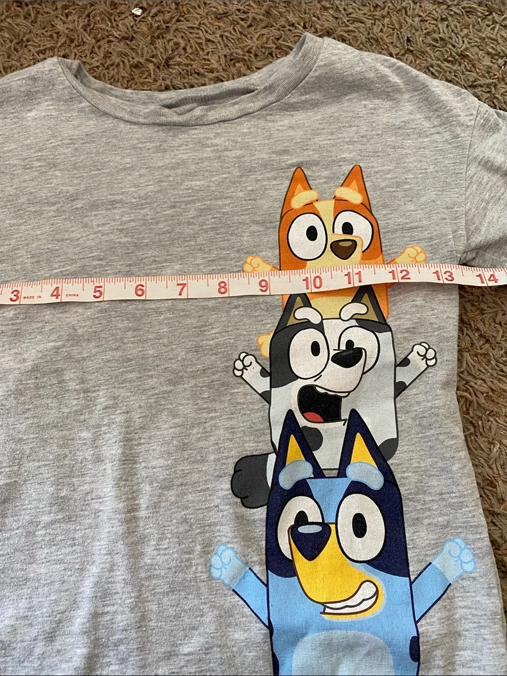 Kids Grey Bluey Graphic Tee - Grey/5